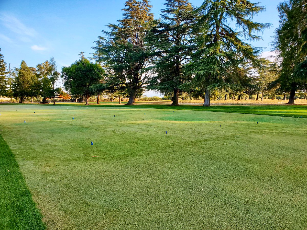 petelewicz's tweet image. Second set of apps for #SDS control down and watered in. ✅

#springdeadspot 
#UCRturfpestmgmt 

Also, I just couldn't resist sharing those gorgeous views of yesterday's sunset on the road. 🌅

📸: @OrlinskiPawe