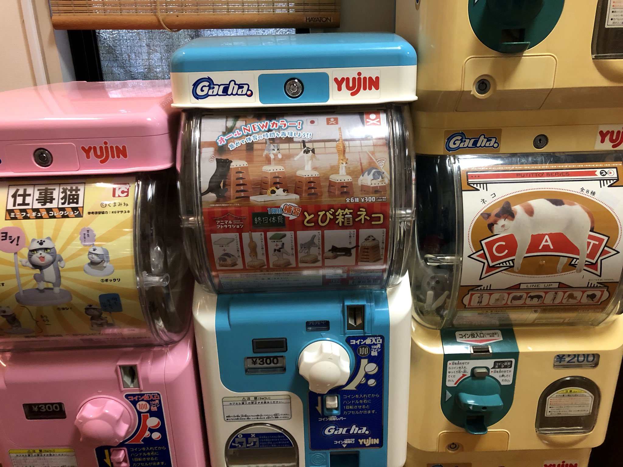 猫がちゃがちゃ Twitter Search Twitter