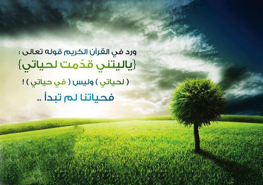 11kbq's tweet photo. حياتنا لم تبدا بعد #امطار_الرياض https://t.co/tKXRPyUB63