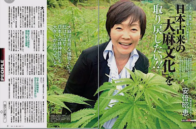 ブラックショコラ 大麻婦人は なぜ捕まらないのだろう スピンの情報源 ブラックショコラ 大麻婦人は なぜ捕まらないのだろう スピンの情報源