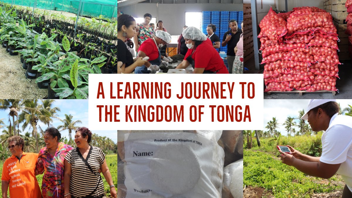 Under <a href="/Innov4AgPacific/">Innov4AgPacific</a>, the Learning Journey project in 🇹🇴 #Tonga was designed to foster cross-learning and build partnerships for accelerating transformative change in support of ‘nutrition sensitive’ value chain development. Enjoy this weekend 📖 read bit.ly/3foGsk