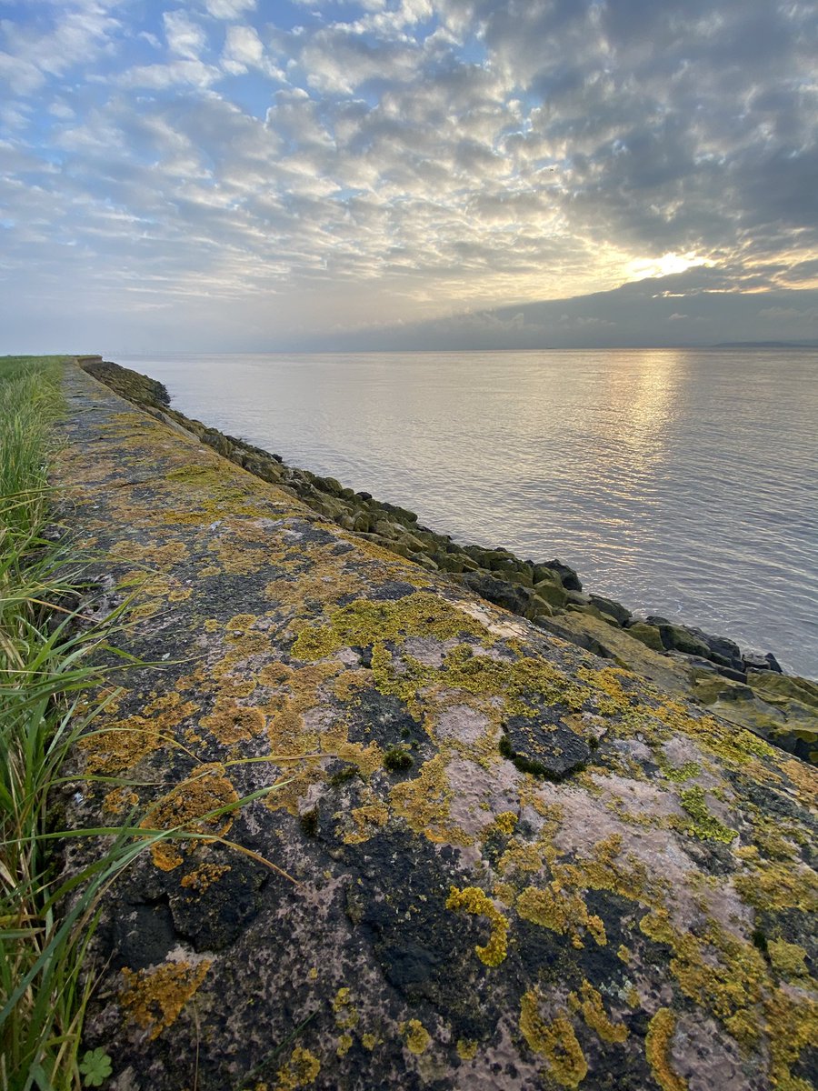 GmusicV's tweet image. Turning out to be a beautiful morning on the levels #gwentlevels #moning @bbcweather #iPhone11Pro