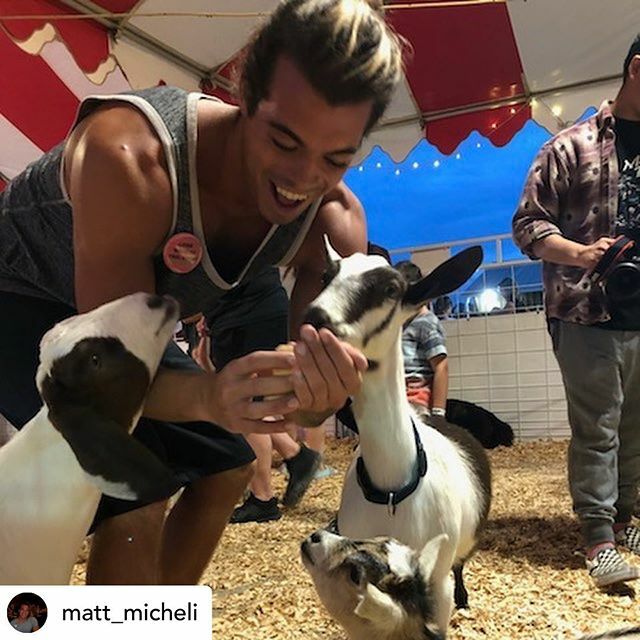 VCFair's tweet image. Posted @withrepost • @matt_micheli Casually having a Conversation with my new friends
.
.

#volusiacountyfair 
#falltimefun 
#lifestyle 
#love ift.tt/2NQWcBq