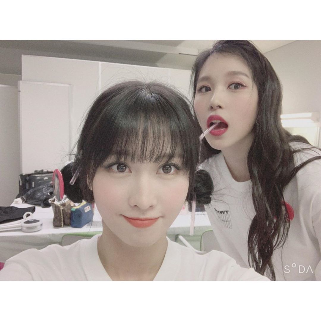 Misa ᴗs Tweet Momos Ig Post Mimomimo So Cute Misa ᴗs Tweet Momos Ig Post Mimomimo So Cute