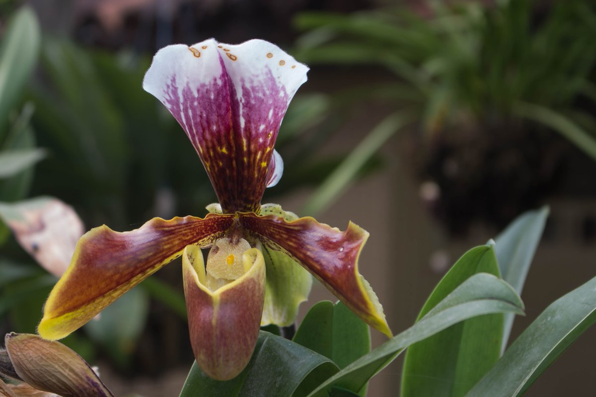 Llega el buen tiempo, y los colores y las formas florecen para vestir a #CasaDeAnny ✨