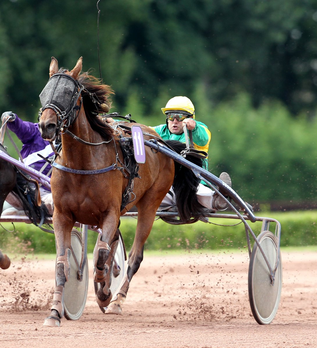 #AuRevoirLesV
🐴 Vestphalie du Mont
🧢 Franck Delanoë
🎩 Benoît Grosfils
💶 239 480€
🏆 2 victoires, 2e Prix de Vincennes 2012, 3e Critérium des Jeunes 2012
⏱️ 1'13"2

Retraitée en 2014