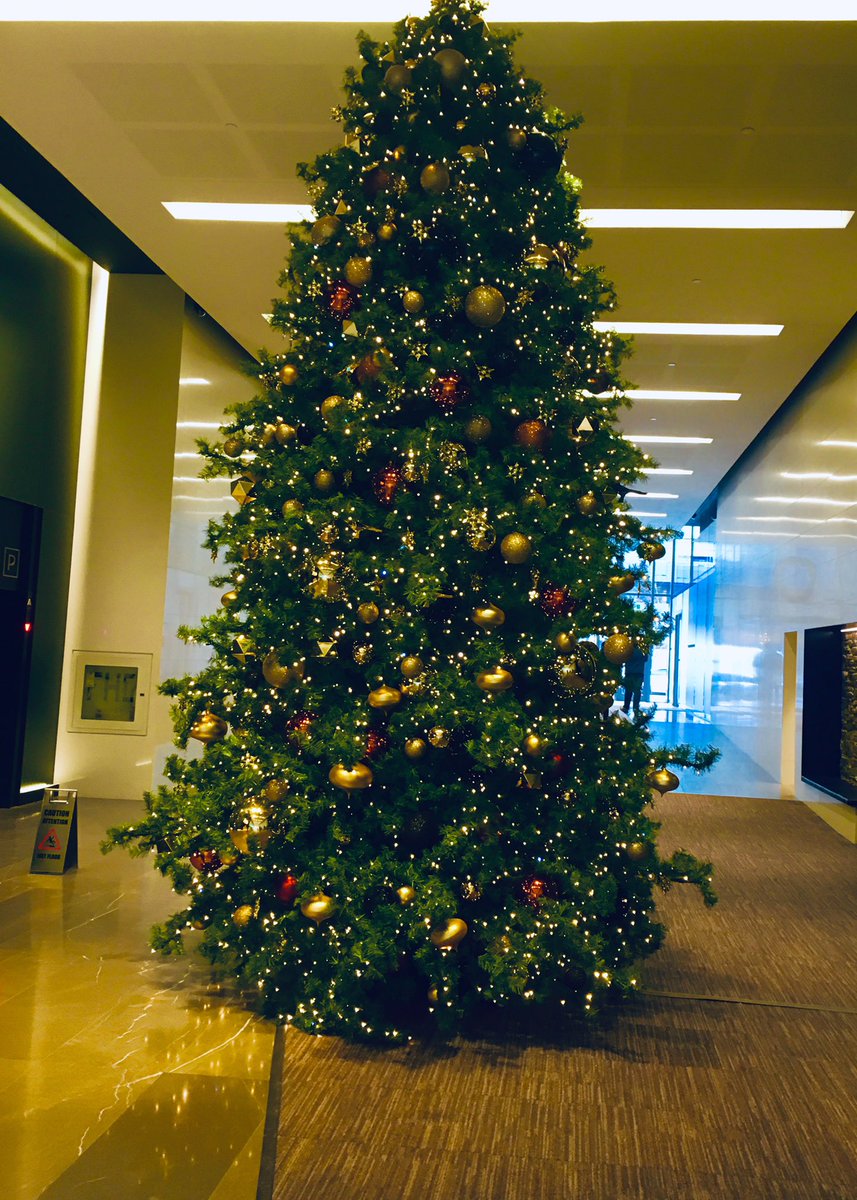 TomBeyer7's tweet photo. The new @globeandmail lobby has a wonderfully huge Christmas 🎄 Tree in their lobby. #Christmas19 #christmasinthecity #The6ix #LookingGood https://t.co/XCGSY0DqKq