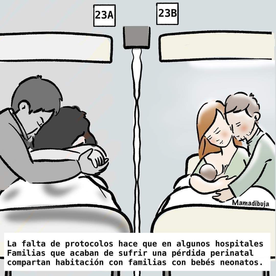 queacabe2019 (@tamar75080491) on Twitter photo 