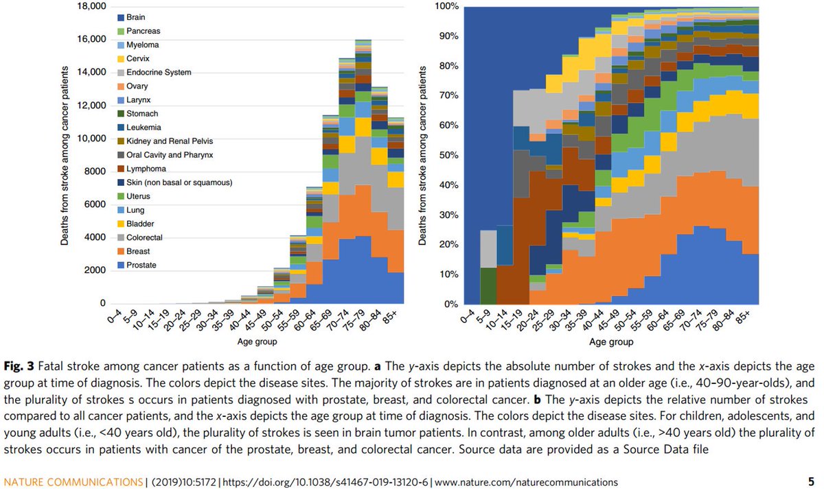 Nicholas Zaorsky, MD MS (@nicholaszaorsky) on Twitter photo Cancer patients are at high risk to die from stroke.
nature.com/articles/s4146ā¦
ncbi.nlm.nih.gov/pubmed/31729378
New research from <a href="/PennStHershey/">Penn State Health</a> <a href="/LeilaTchelebi/">Leila Tchelebi</a> <a href="/BradZachariaMD/">Brad Evan Zacharia</a> in <a href="/NatureComms/">Nature Communications</a> Cancer patients are at high risk to die from stroke.
nature.com/articles/s4146ā¦
ncbi.nlm.nih.gov/pubmed/31729378
New research from <a href="/PennStHershey/">Penn State Health</a> <a href="/LeilaTchelebi/">Leila Tchelebi</a> <a href="/BradZachariaMD/">Brad Evan Zacharia</a> in <a href="/NatureComms/">Nature Communications</a>