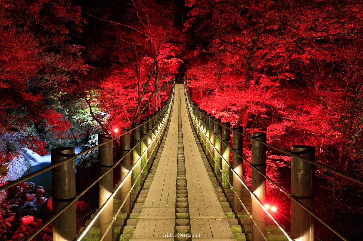 花貫渓谷 Twitter Search