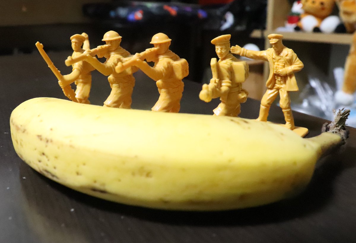 Twoucan グリーンアーミーメン写真部 Armymenphoto