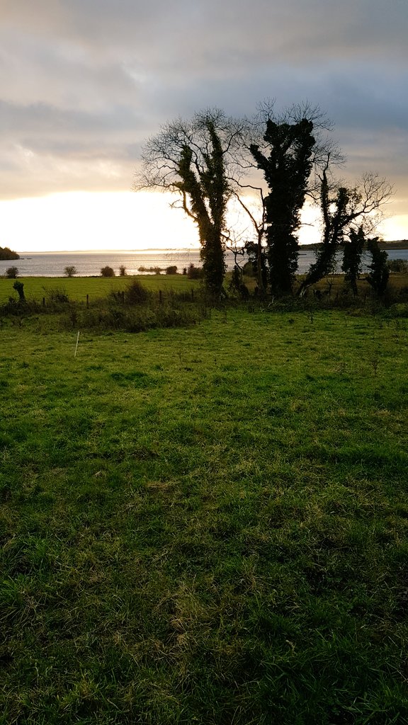 Grass fed Angus beef produced from our farm. This is part of my balanced sustainable diet #RTEonClimate