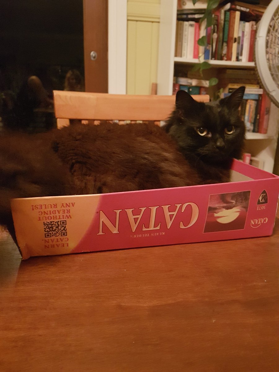 KatieRowney's tweet photo. CATan https://t.co/Mv6xeEVQkN