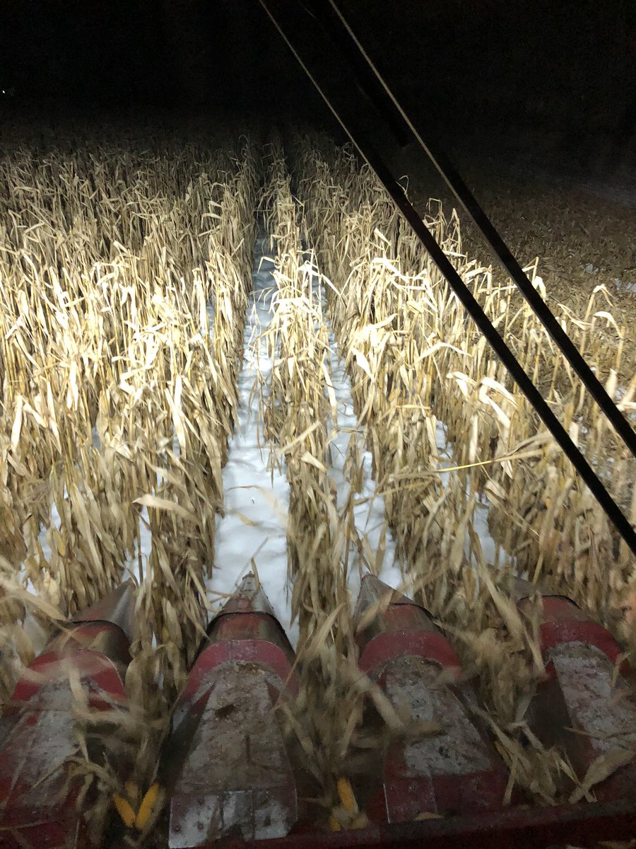 Adam Ireland tweet media