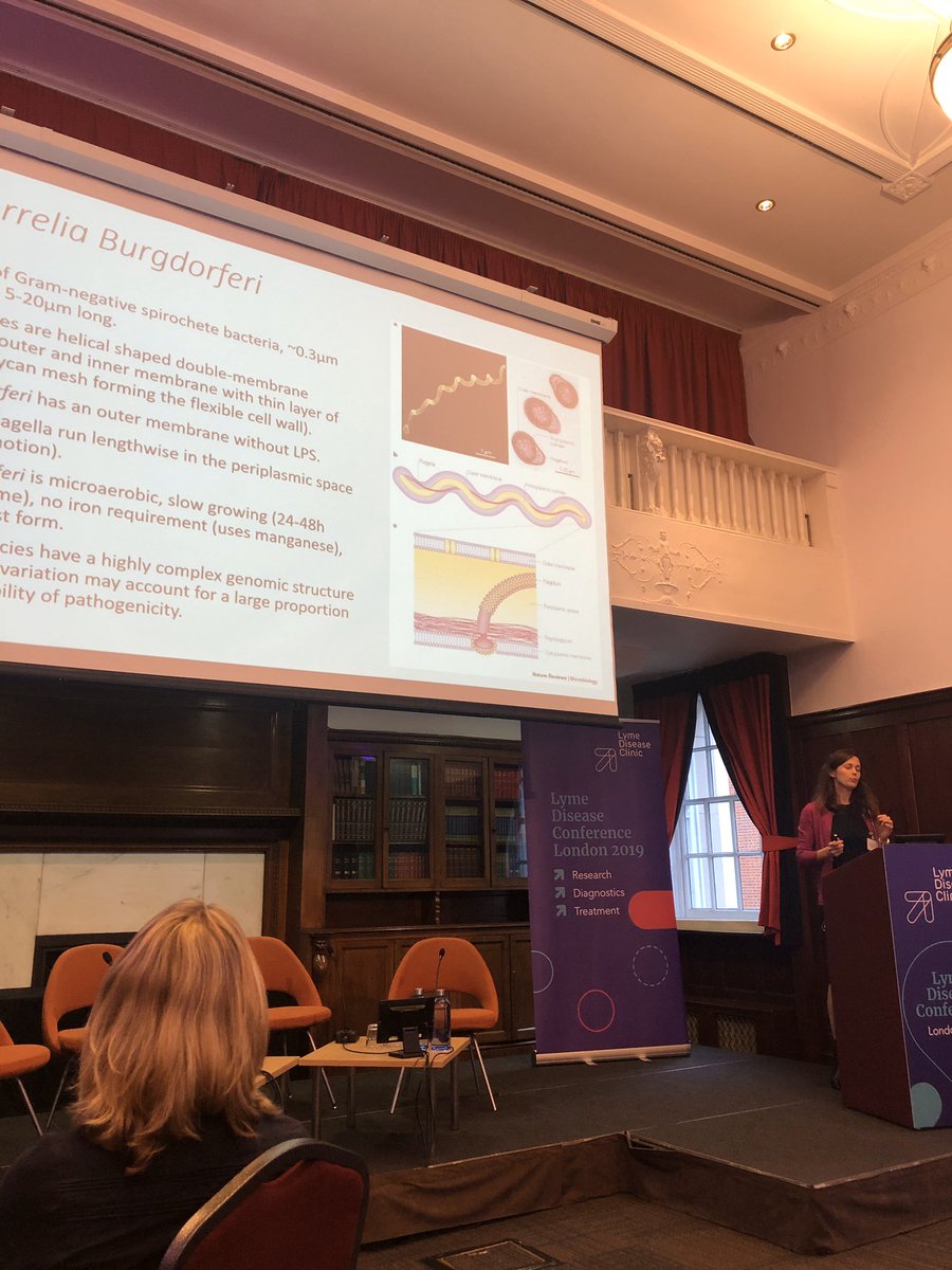 IVBOOSTUK's tweet photo. Dr Katerina Jenkins speaks about what doctors look for in current testing &amp; progression on diagnostics at the Lyme Disease Conference. #callingtimeonlyme
#lymediseaseclinic #drjosh #lymedisease #treatment #research https://t.co/HRcH8WzoBJ