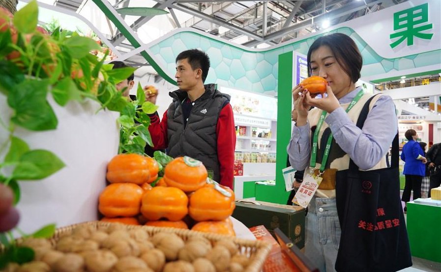 The 17th China International Agricultural Trade Fair (CATF)  kicked off in Nanchang, capital of east China's Jiangxi Province, Nov. 15, 2019, with around 8,000 exhibitors attending the fair. #HiChina