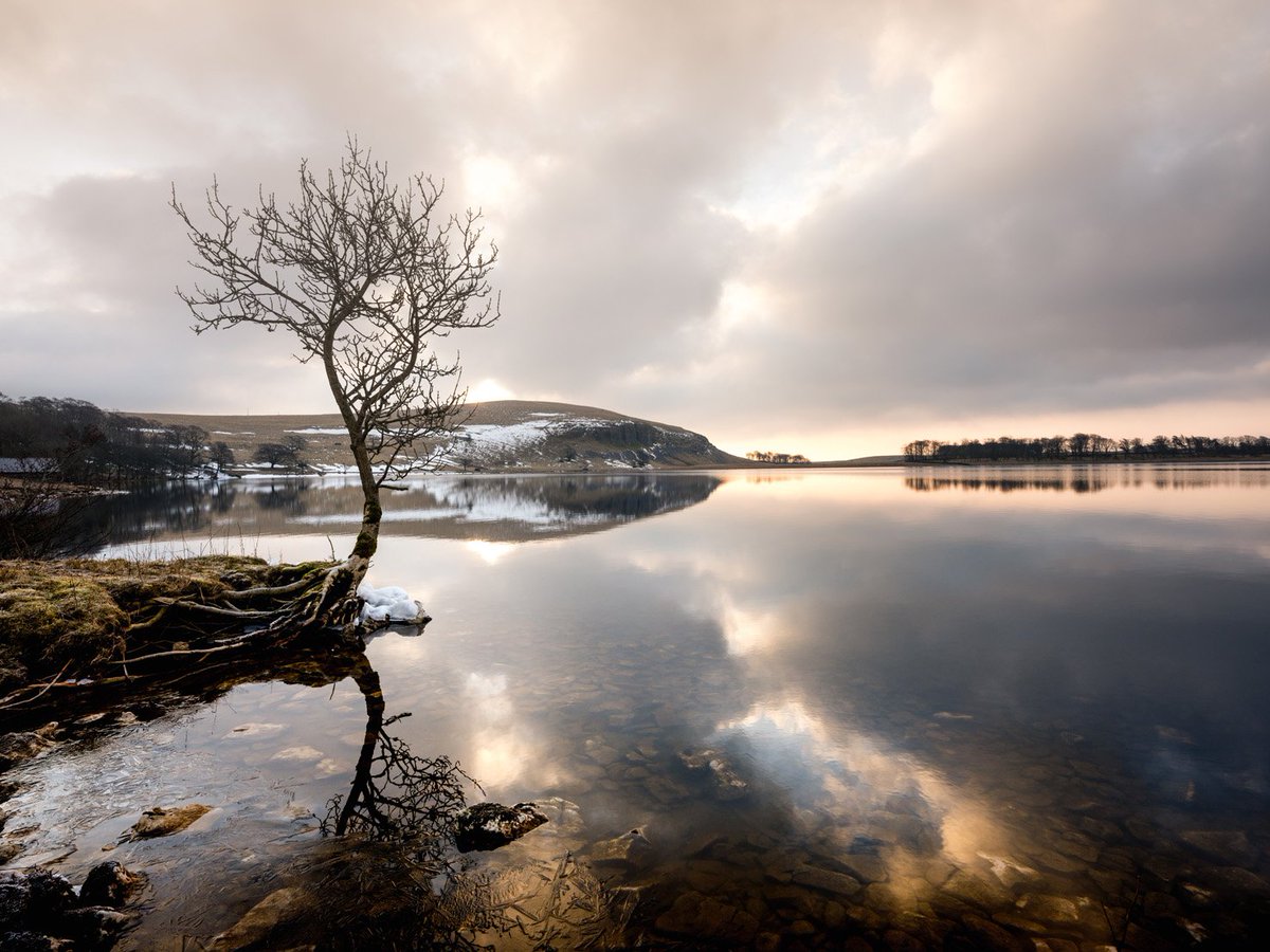 Happy 65th birthday to our stunning Yorkshire Dales National Park! 

We may be part of a fabulous family of 15, but we think ours is just a little bit special...

Discover the National Park story yorkshiredales.org.uk/history

Images: danscape.co.uk