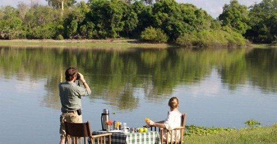 AcrossNature's tweet image. There's still some beauty in this world. In today's world, reading the news makes one feel so sad and depressed. But there is still some #beauty in this world and we know where they are to change your world view. Contact us today at: info@acrossafricanature.com

#Safaris  #Tours