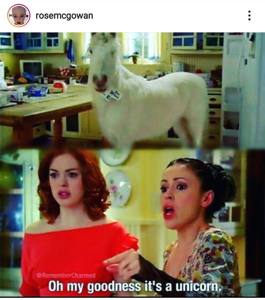 HMC241114's tweet photo. This makes our heart happy, seeing you guys still post about #Charmed
The show that has such a bit impact on everybody's life
Thank you #charmedforlife #halliwellsisters #piperhalliwell #paigematthews https://t.co/ZwIaRBtuW5