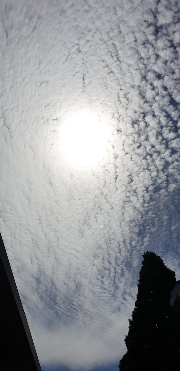 CherScheff's tweet photo. Saturday afternoon sun in clouds #throughthegap
#November
#Sydneyskies https://t.co/wtN4Kk2fyE