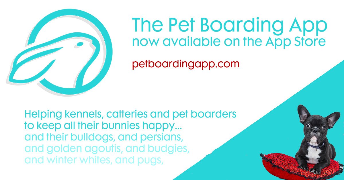 Bytes Ahead Ltd. (@BytesAheadLtd) / Posts / X