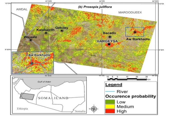 New paper out on invasive species mapping with the use of #Landsat and #MODIS time series: bit.ly/2CQS3qW