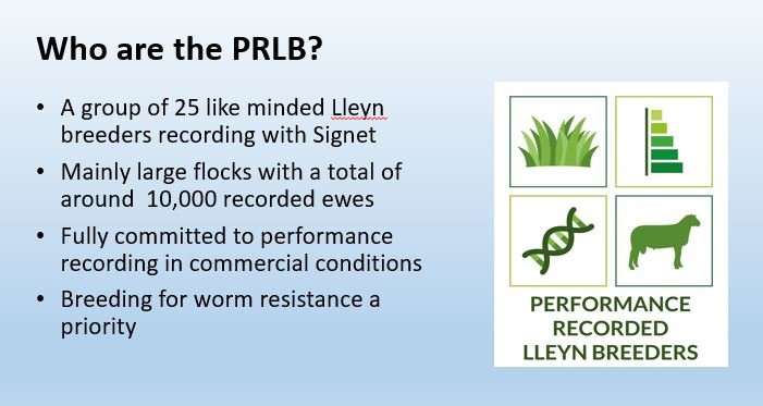 George Cullimore talks about the importance of working together to get critical mass of numbers - one of the few large breeder groups looking at the genetics of worm resistance #Lleyn
