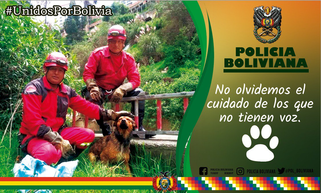 POLICIA BOLIVIANA tweet media