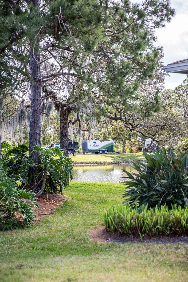 FieldstoneLS's tweet photo. No matter what your landscape holds, we can customize a plan to take you through every season. We'd love to talk with you about your unique property! ☎ 727-822-7866
.
. 
#FieldstoneLandscape #Landscape #Landscaping #LandscapeService #TampaBay #TampaBayLandscape https://t.co/uKrpLS0PPY