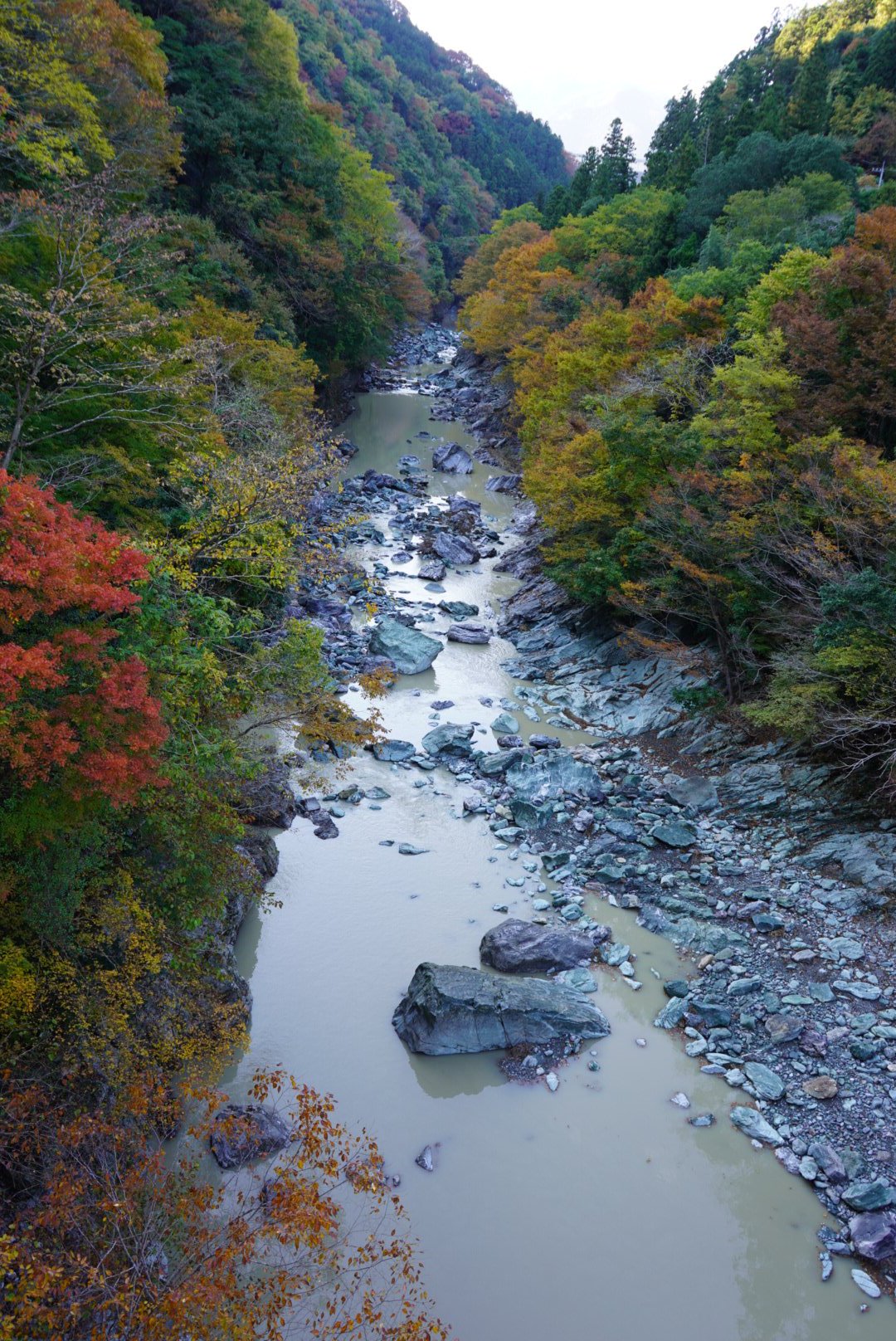そるてぃ1000 低浮上中 三波渓谷 紅葉 色づいてきましたね 城峯公園と三波渓谷の分かれ道で三波渓谷の方へ進んだら見事に通行止め T T Uターンして城峯公園方面に進み 橋の横に何台か停められるくらいのスペースがあったので そこに停車して撮りまし