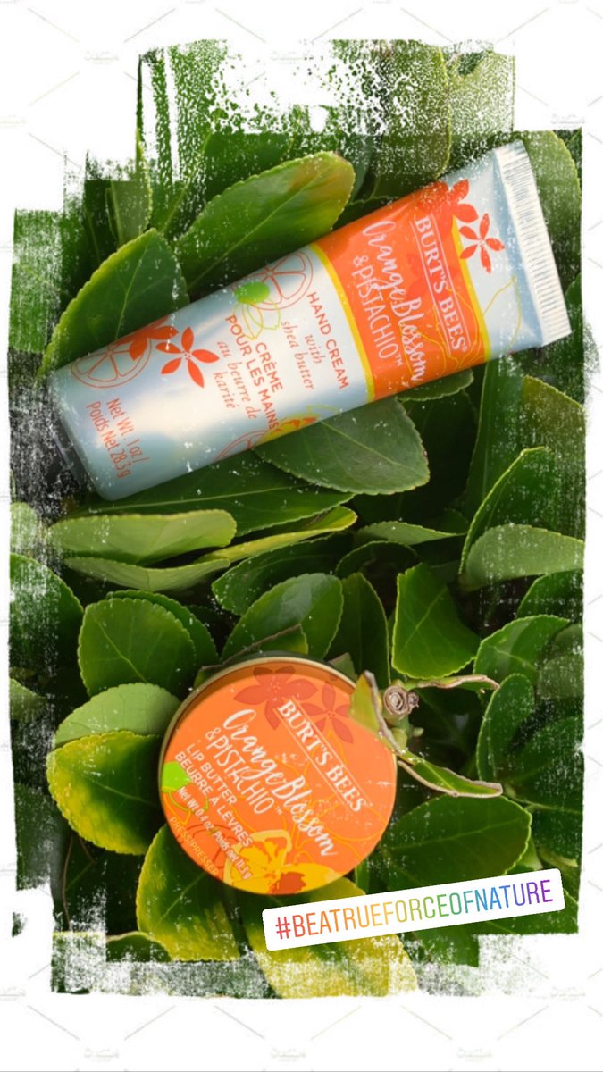 Did you know you that even hard to recycle waste can be reused, upcycled or recycled through the <a href="/BurtsBeesUK/">Burt's Bees UK</a> and @TerraCycleUK partnership? 👉 terracycle.com/en-GB/brigades… #BeATrueForceOfNature #ad