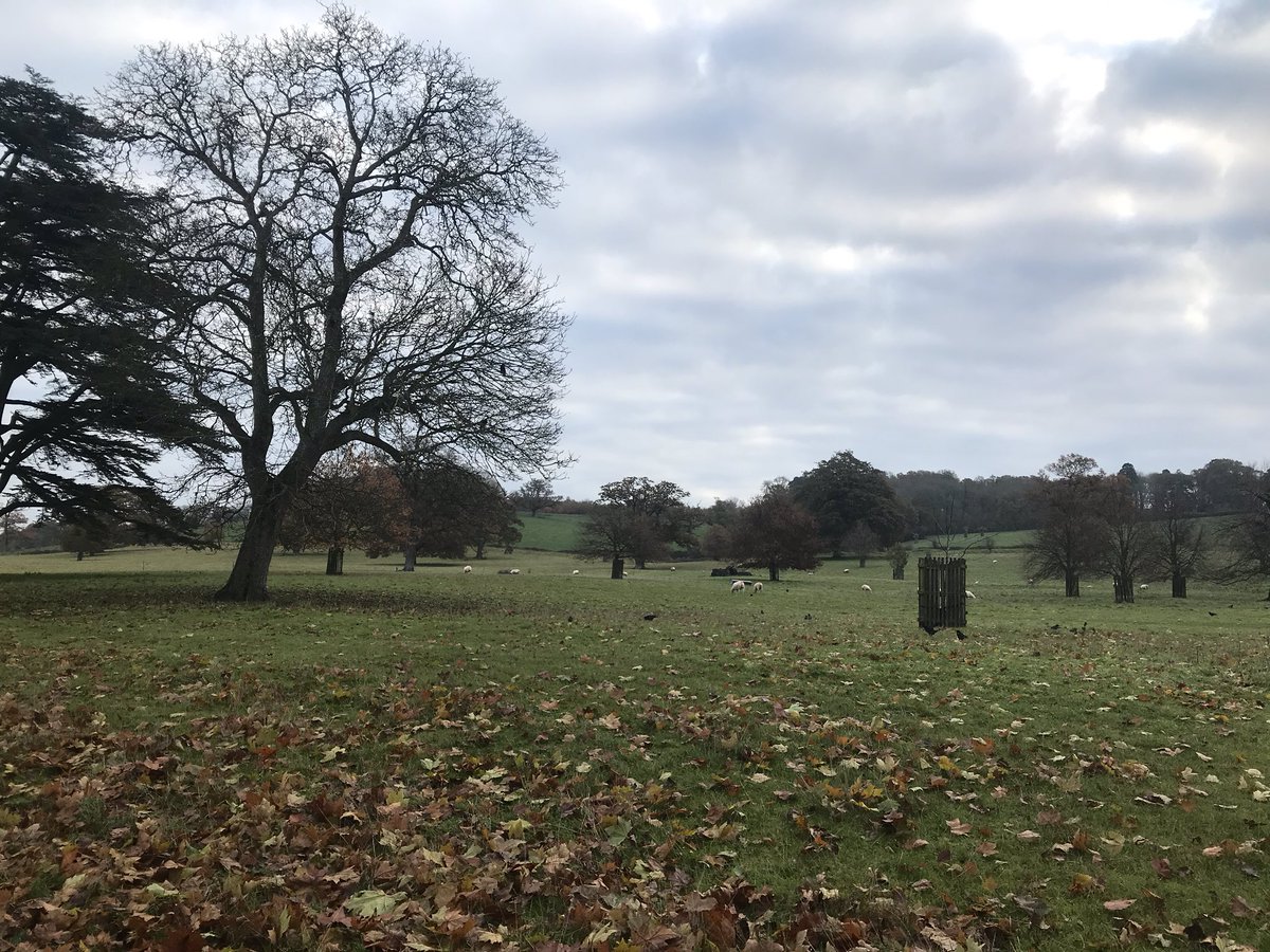 leyla_pattison's tweet photo. Back at @BathSpaUni for #ASEwest conference. Excited for some Saturday morning science! #TeamScience https://t.co/WgQUJVDFrw