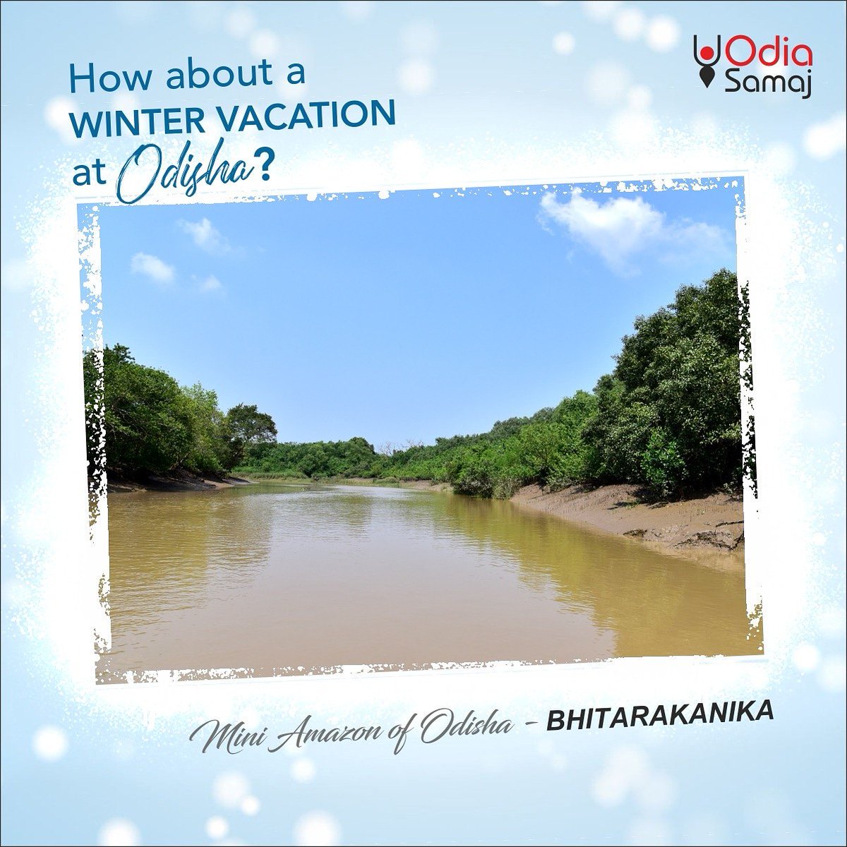 OdiaSamaaj's tweet photo. How About A Winter Vacation At #Odisha
#MiniAmazon of #Odisha - #Bhitarakanika
#bhitarakanika #nationalpark #odisha #nature #kendrapara #mangroveforest #odishatourism #travel #travelguide #incredibleindia https://t.co/Dg5zaQPwtf