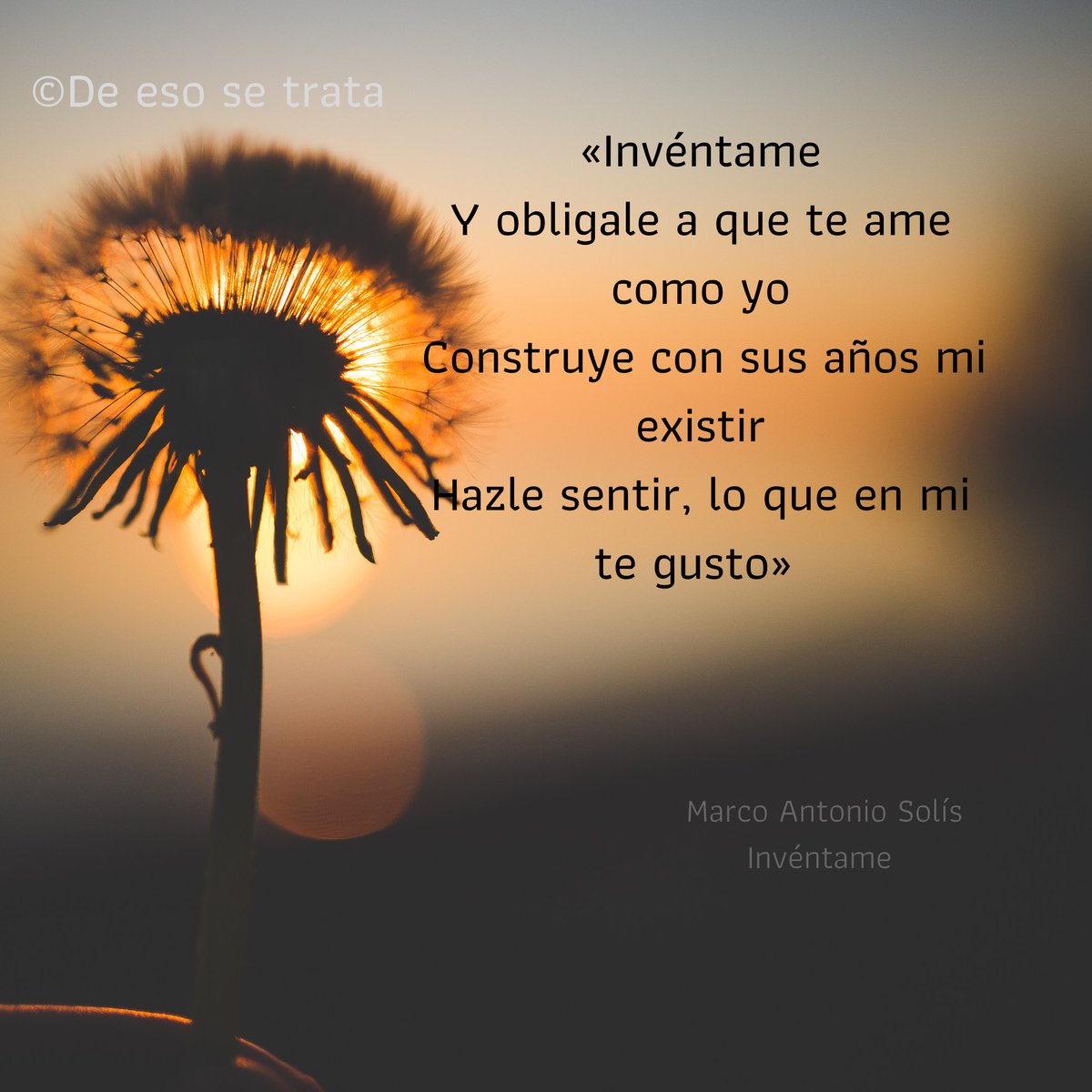 De Eso Se Trata tweet media