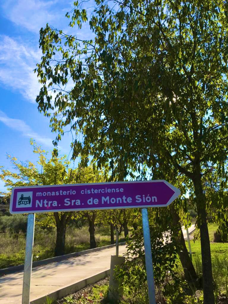En Toledo, allá donde encuentres un lugar mágico, verás crecer un almez. Es muy bonito constatar que este árbol nunca falta en los lugares más especiales de la ciudad. 🌳 #Celtisaustralis