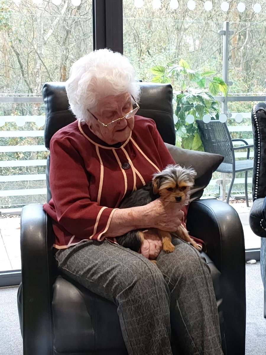 KingsLodge_ACL's tweet photo. We had the Marvelous Malcolm come in and share lots of cuddles with everyone in the home. These therapeutic visits bring such smiles to the people who live and work here 🐾
#kingslodge #camberley #auracareliving #carehome #adogslife #PetTherapy https://t.co/1lKP0wybGX