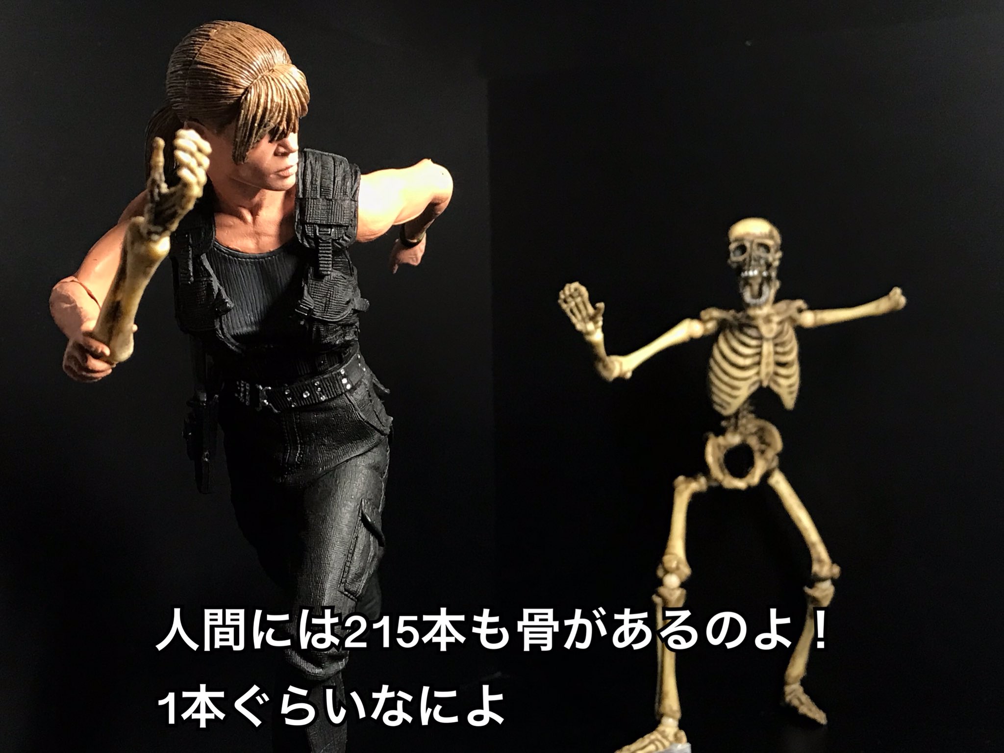 美少女力士 ターミネーター2 人間には215本も骨があるのよ 一本くらい何よ