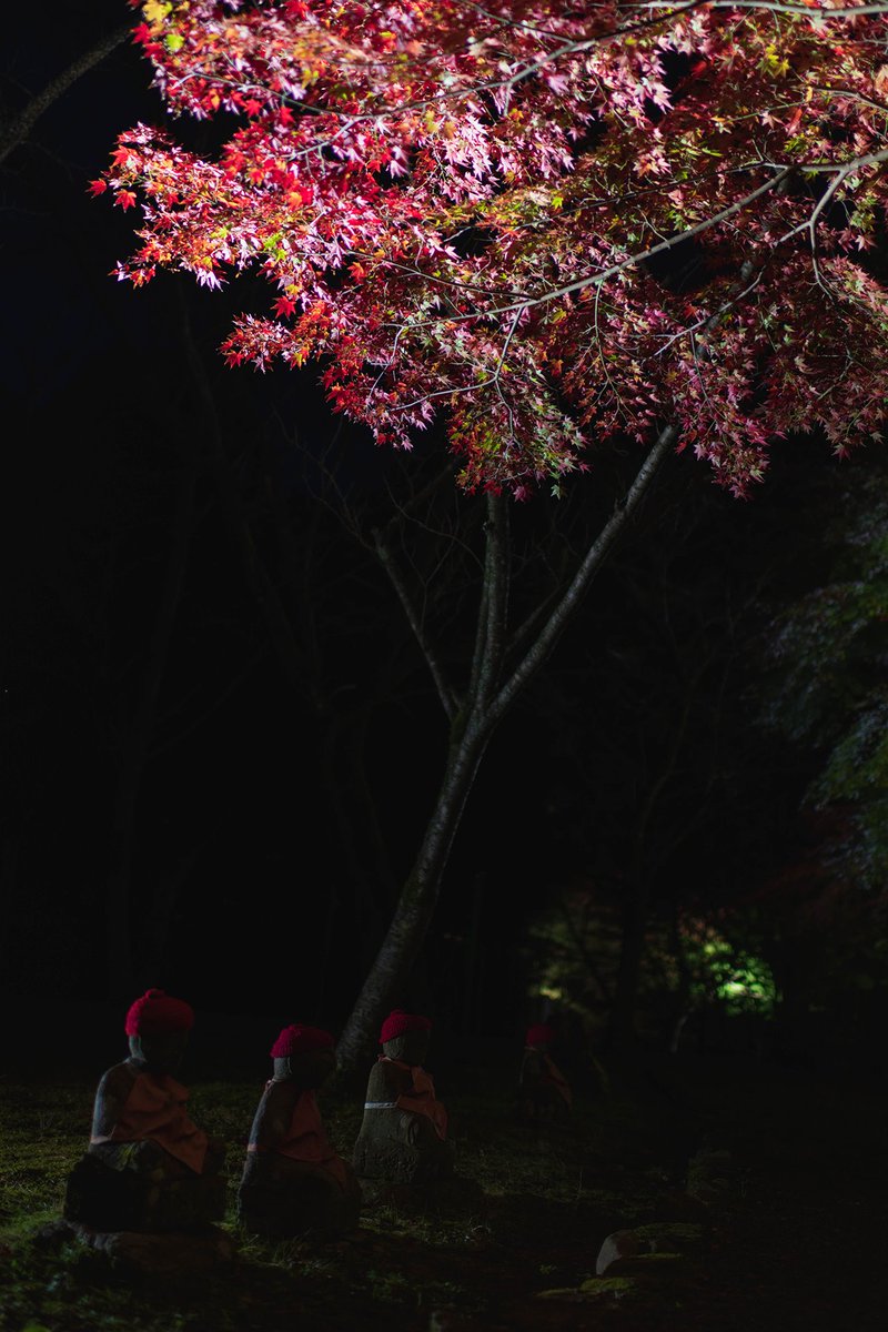 KurarKey's tweet photo. #紅
#秋
#日本
#山口
#長門市
#大寧寺
#写真撮影
#地蔵
#赤
#東京カメラ部
#写真好きと繋がりたい
#ファインダー越しの私の世界
#ニコン
#35mm
#deep_red
#Autumn
#Autumn_leaves
#Japan
#nagatocity
#tainei_Dainingji
#photography
#Photo
#red
#instagramjapan
#lovers_nippon
#yamaguchiiitoko https://t.co/otZCB3pPEL