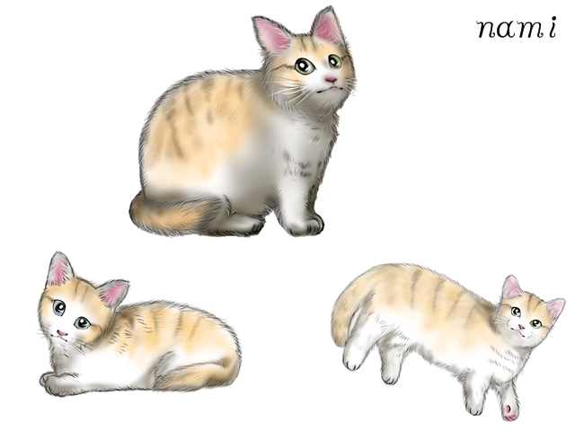 猫好のtwitterイラスト検索結果