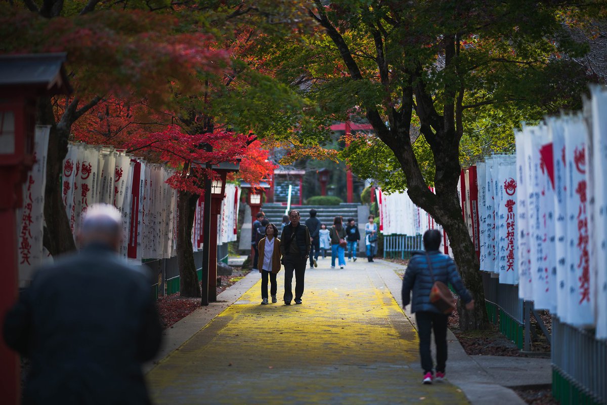 kelliemccannu's tweet photo. RT https://t.co/9NJloZMGNW #紅 #秋 #日本 #山口 #長門市 #大寧寺 #写真撮影 #写真 #赤 #東京カメラ部 #写真好きと繋がりたい #ファインダー越しの私の世界 #ニコン #105mm #deep_red #Autumn #Autumn_leaves #Japan #nagatocity #tainei_Dainingji #photography … https://t.co/kSdw2kPJIe
