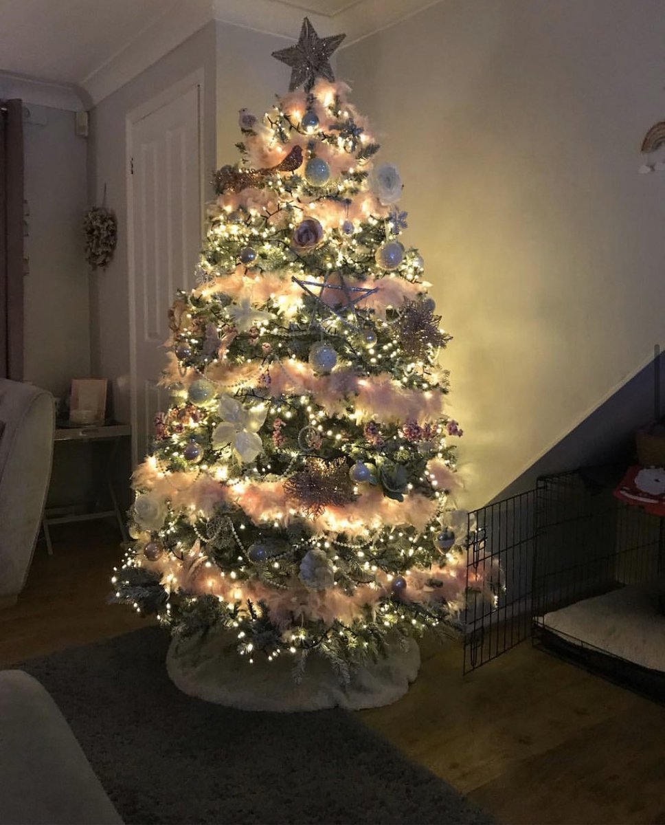 KirkyPearce's tweet photo. For all you grumpy ass Scrooge’s out there, suck it up as this bad boy is soon to be erected!!!!!!! 🎄🎄🎄🎄🎄🎄🎄
#excited #Christmas #christmastree #twinkle #scrooge #stopbeinggrumpy https://t.co/dQKEkB2Qiu
