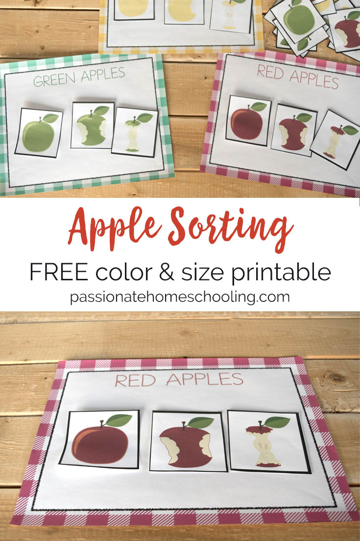 passionatehomes's tweet photo. Help your kids practice sorting by color with these red, yellow, and green apple sorting mats. https://t.co/zqcYSEKxnZ #homeschooling #ihsnet #preschool #kindergarten #activities #hsmom https://t.co/pN16snFd8t