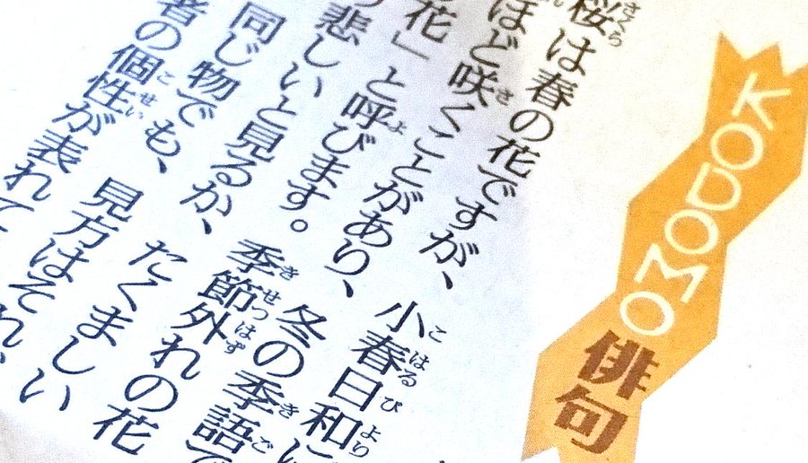 夏休みの俳句の宿題 小学生にオススメの季語や題材は ページ 2 夏休みfun