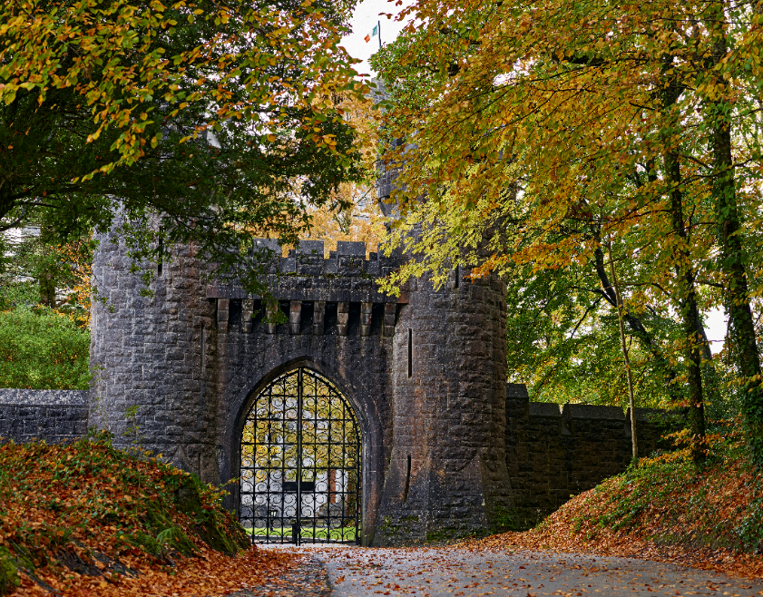 The expansive 350-acre Ashford Estate lends itself perfectly to a range of activities, from the ancient sport of falconry to off-road driving, horse-riding and fishing on the magnificent Lough Corrib.