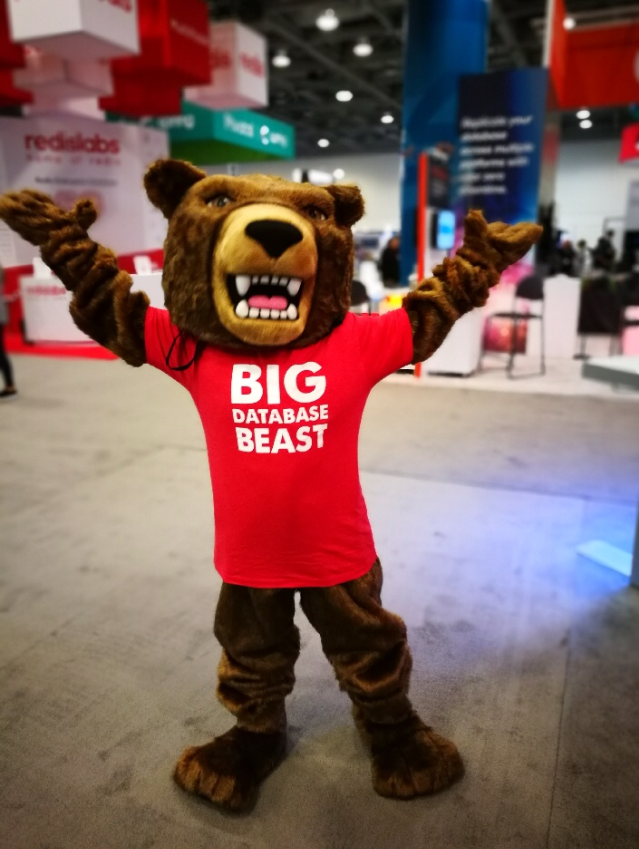 Larry the Bear (@ActifioBEAST) / Posts / X