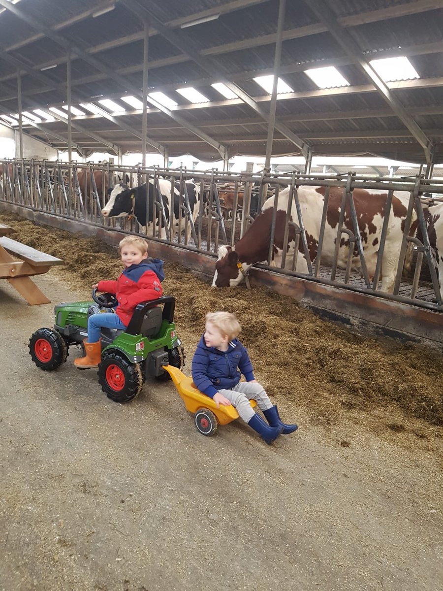Veel belangstelling vandaag op de boerderij. Koeien melken, koeien uit de wei halen en het hoogtepunt van de middag.. een kalfje geboren zien worden💪🏻 #onzeboerderij <a href="/JumboSupermarkt/">Jumbo Supermarkten</a> <a href="/Dierbescherming/">Dierenbescherming</a> #BeterLevenZuivel