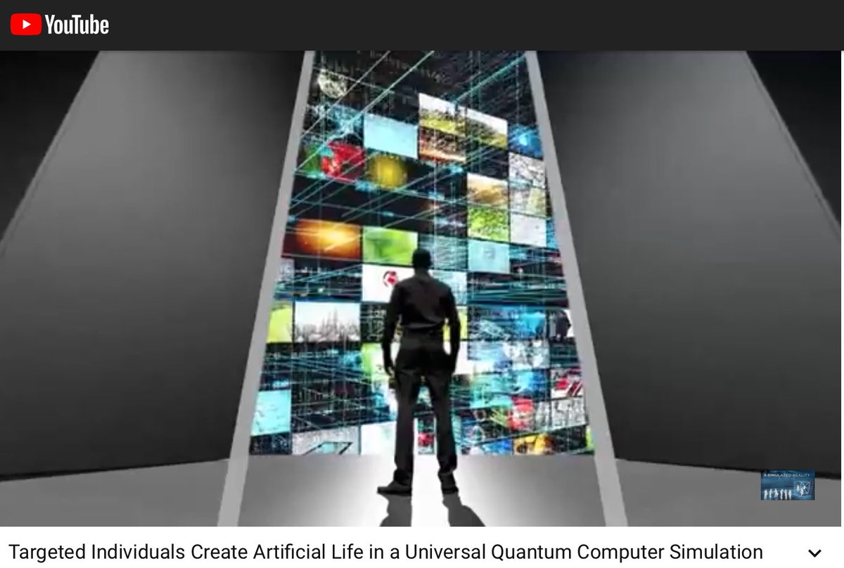  #TargetedIndividuals Create Artificial Life In A Universal Quantum Computer Simulation Remote Neuro-Networks W/Will, Intellect & Emotions Of Their Own Made “Digital DNA Copies of Millions of People Who’ve Been Targeted With This Technology For Decades” 