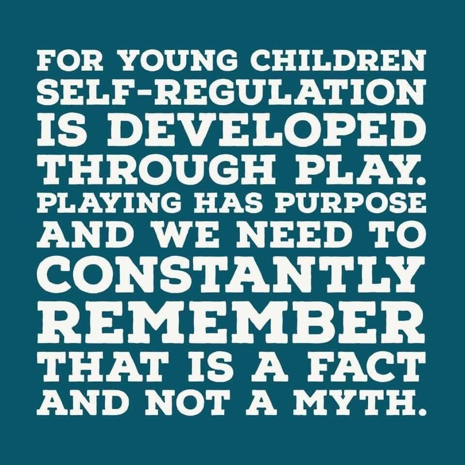 Faiza Khanum tweet media