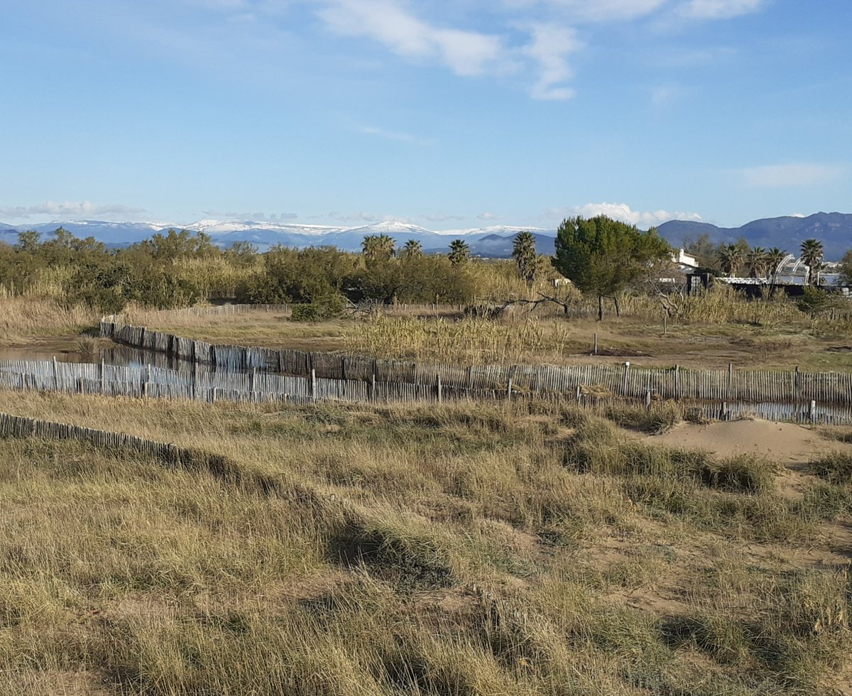 celiatree's tweet image. Snow on the hills above Fréjus this morning