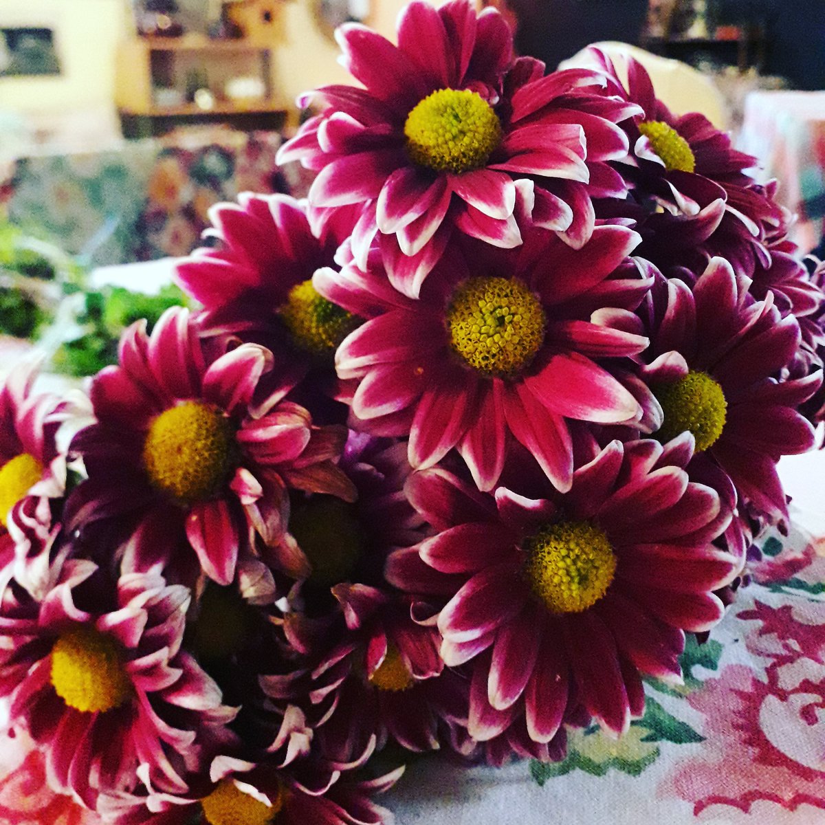 Međunarodni Dan tolerancije je danas . 💛
Svi smo jednaki !
💛